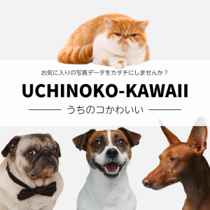UCHINOKO-KAWAII
